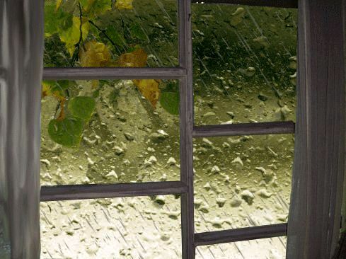 дождь, окно.jpg