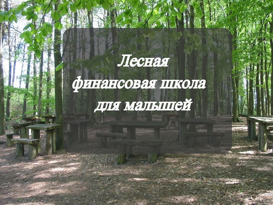 лес (1).jpg