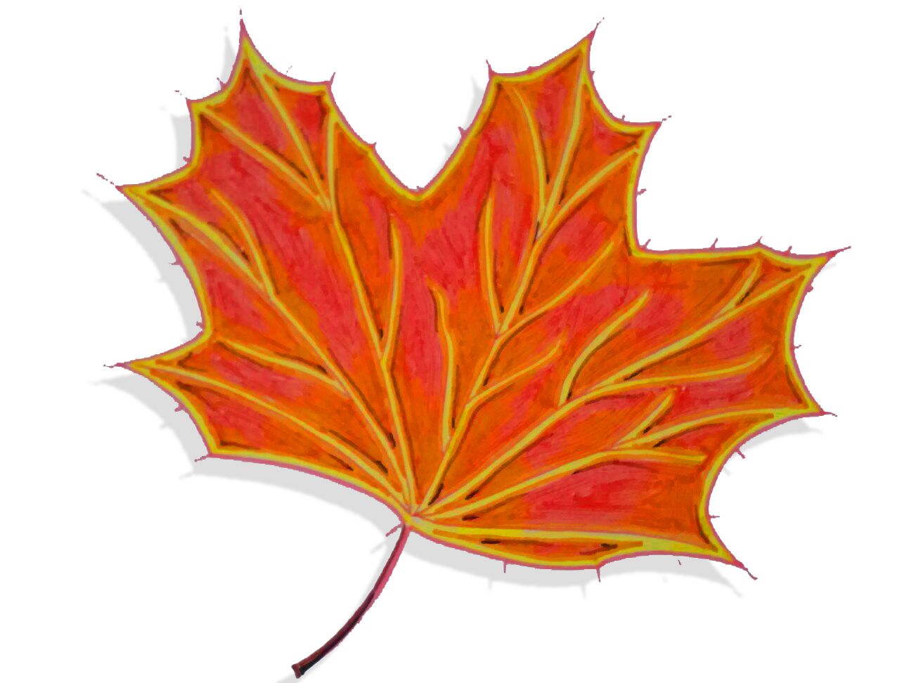 Осенний лист рисунок. Листья рисунок. Кленовый лист рисунок. Осенние листья рисунок. Рисунки осенних листьев.