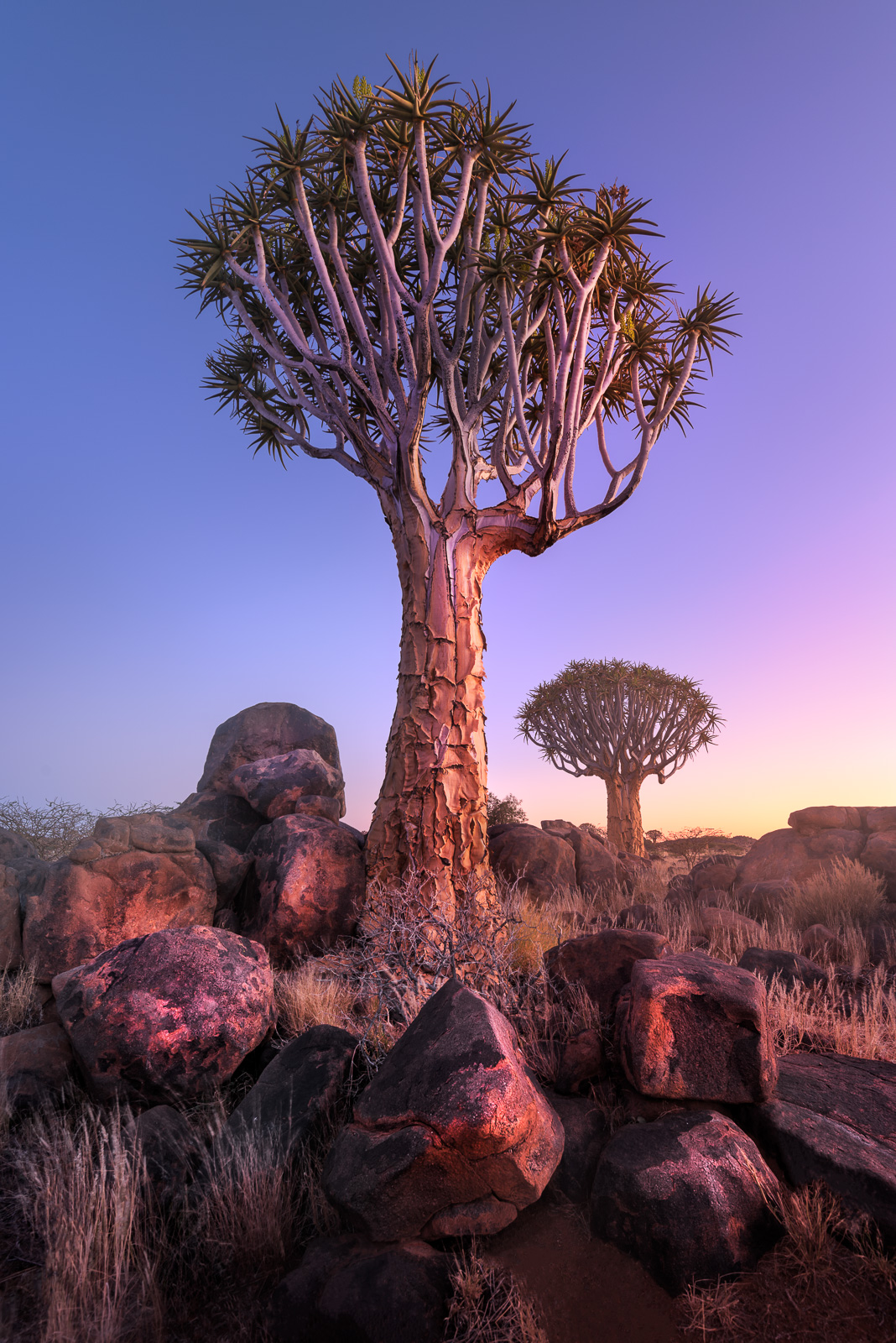 Namibia-4.jpg