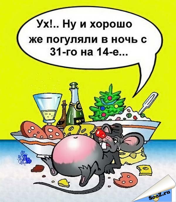 1298081150_Novogodnie_karikatury_2.jpg