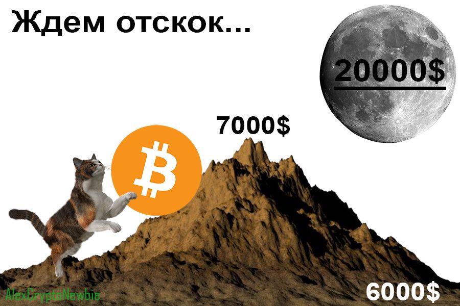Bitcoin-котики ждем отскок курса биткоина