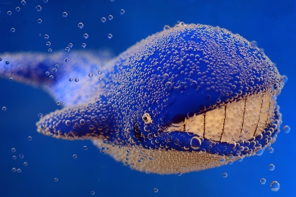 tablet_whale-toy-underwater-bubbles.jpg