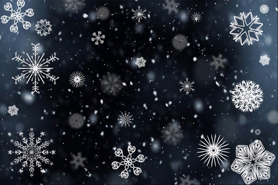 https://cdn.pixabay.com/photo/2014/12/02/22/05/snowflake-554635_960_720.jpg