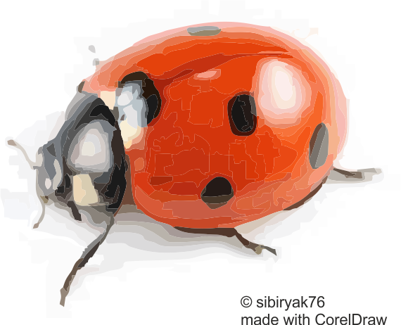 ladybug.png