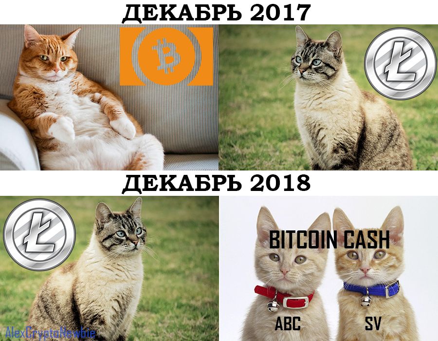 Litecoin vs Bitcoin Cash