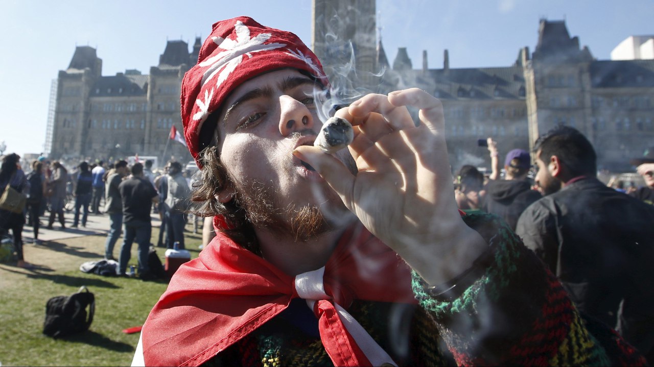 Когда легализуют марихуану в канаде майорка марихуана