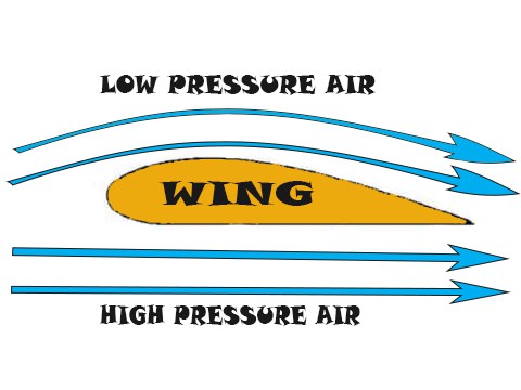 Поток воздуха снизу создает разницу между атмосферным давлением и давлением под крылом