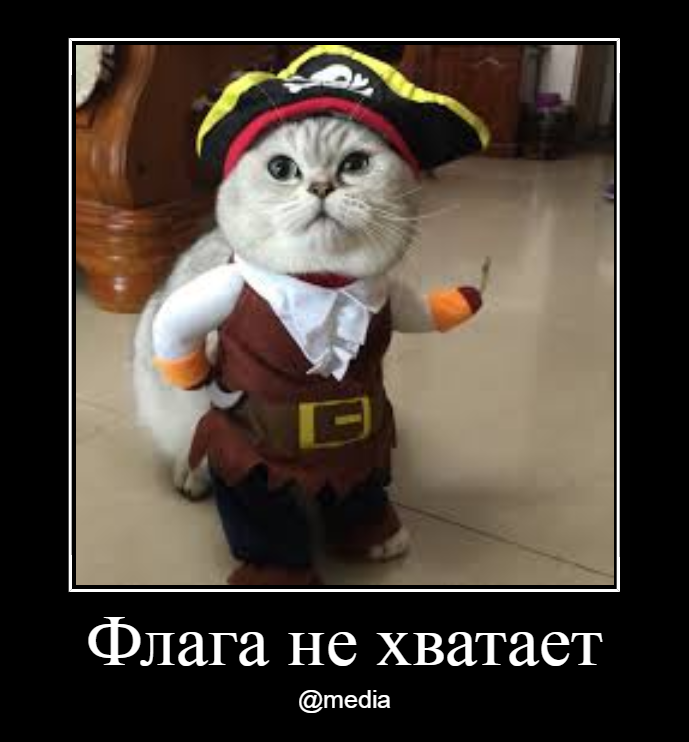 пират.png