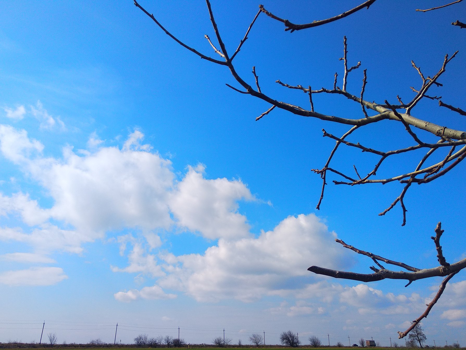 небо весной картинки