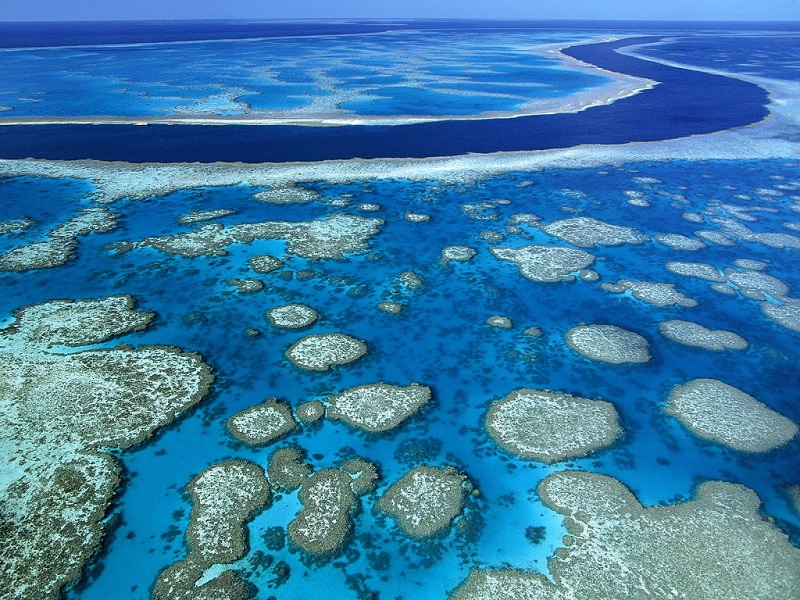 6-Большой Барьерный риф в Австралии.jpg