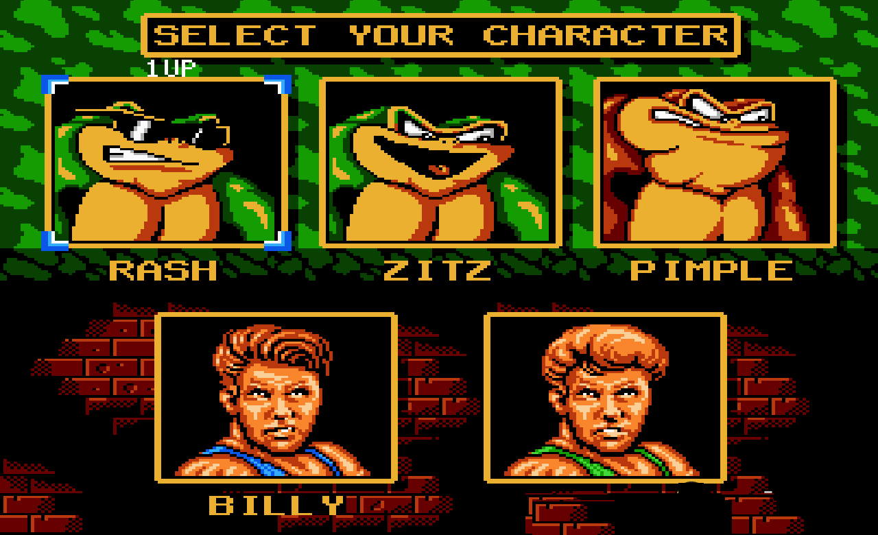 battletoads-and-double-dragon-(2).png