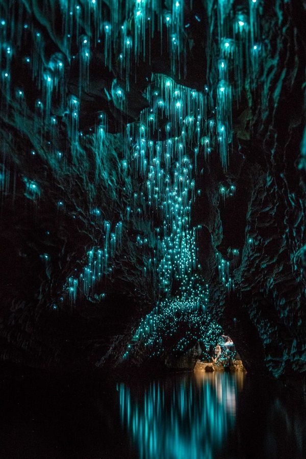 1-Пещера светлячков Вайтомо.jpg