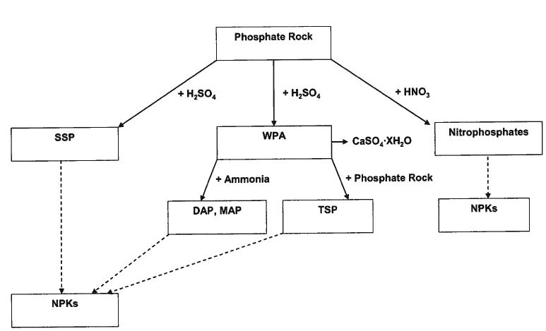схема получения фосфатных удобрений.JPG
