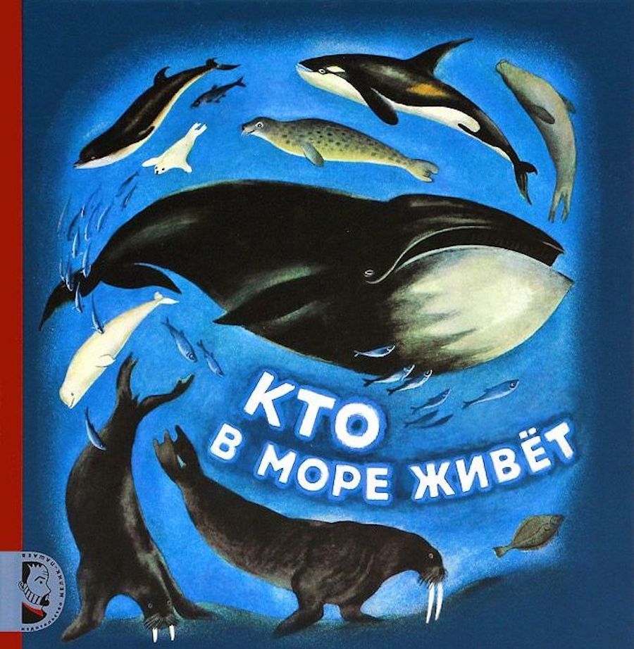 Книга кто живет у моря?