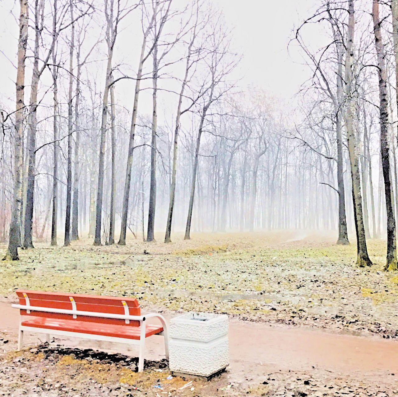 Купить Билеты Курган В Грязи Питерский Апрель