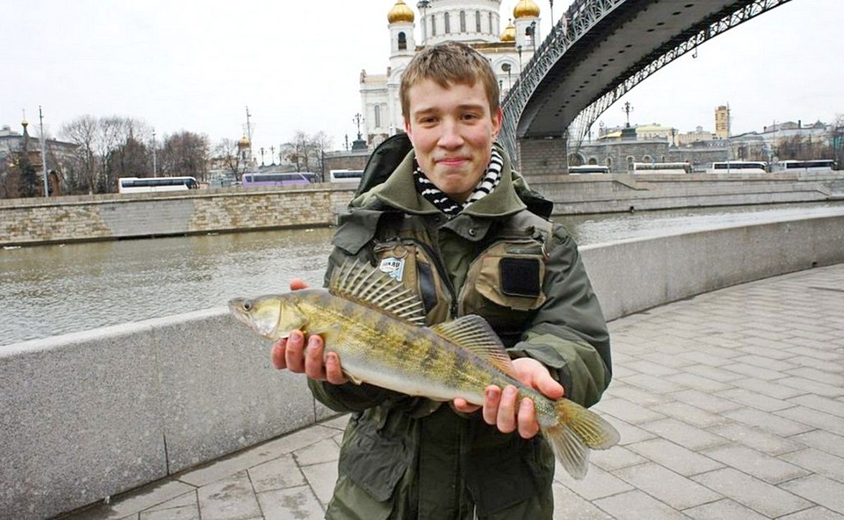 Ловить рыбу в городе