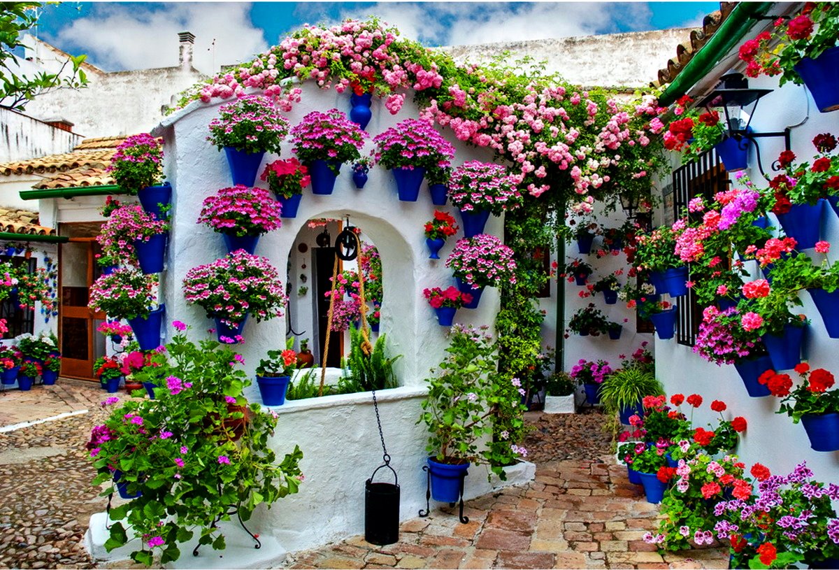floral-house-in-cordoba_1.jpg