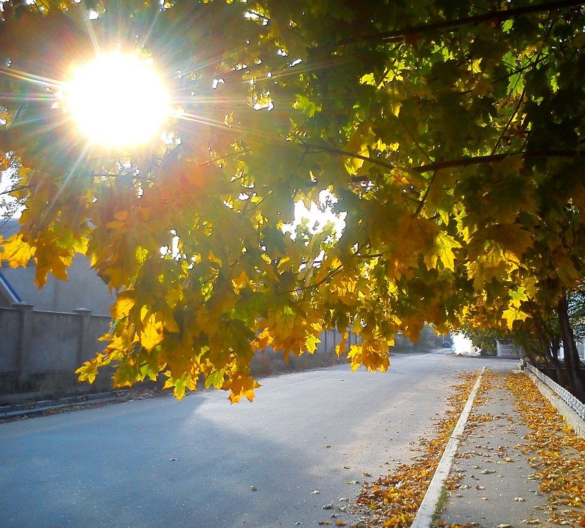 Очень солнечная погода. Осень солнце. Солнце осенью. Солнечный осенний день. Солнечная осень в городе.