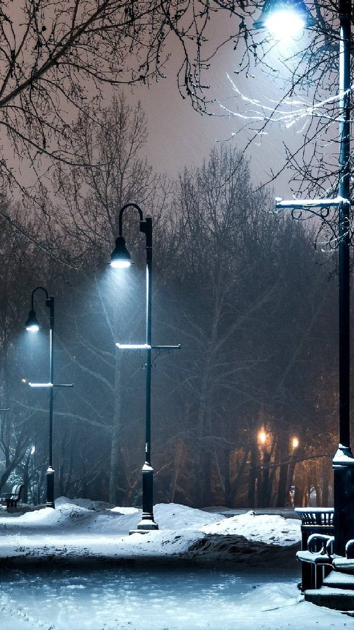 фото фонарей зимой