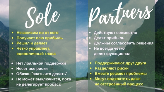 Sole vs Partners.jpg