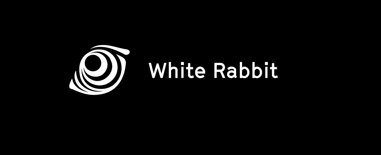 Картинки по запросу WHITE RABBIT ico