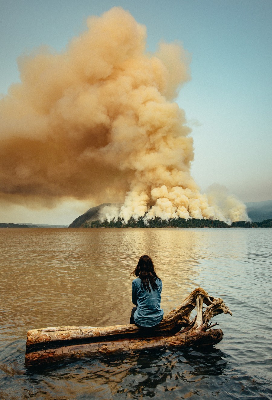 лесной-пожар-канада-страны-4568380.jpeg