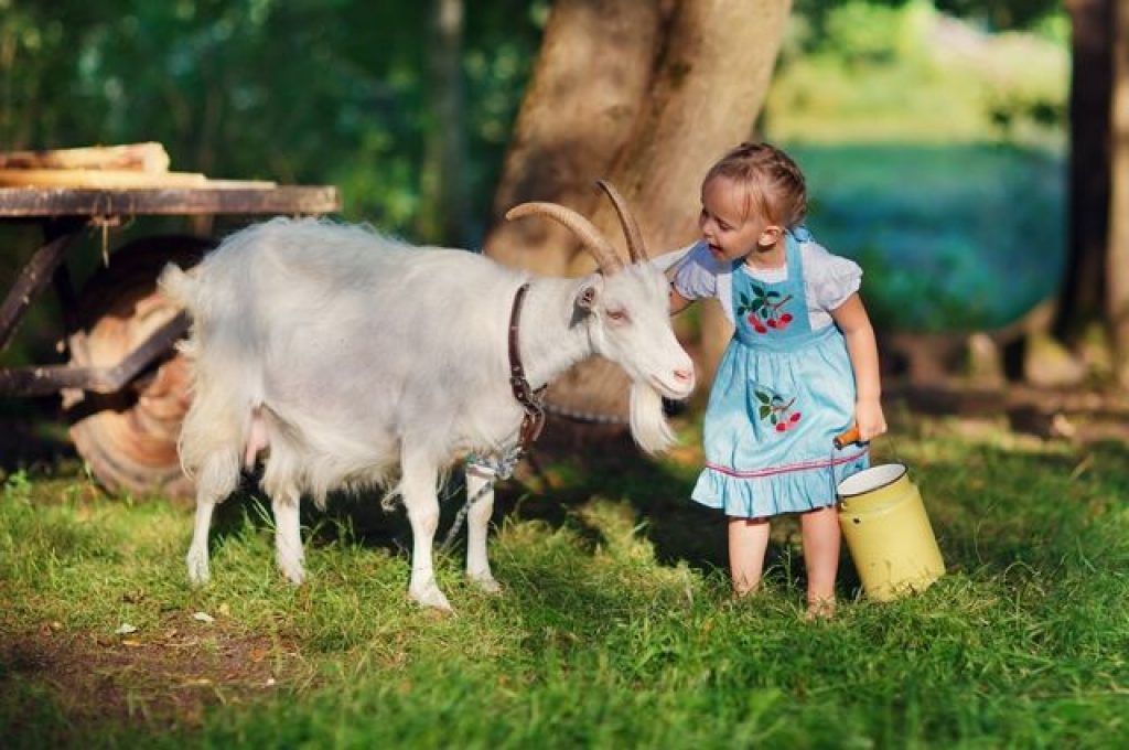 ребенок и коза.jpg