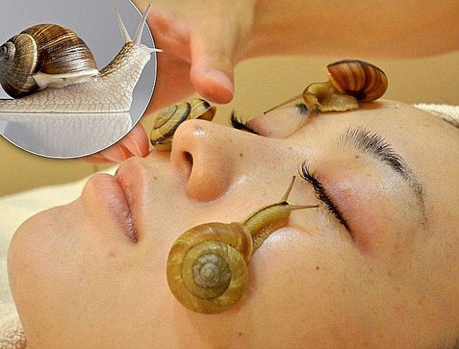 1KG-Pure-Snail-Slime-Mucus-Extract-1000ml-Same-As-Snail-Crawling-On-The-Face-Treatment-Beauty.jpg