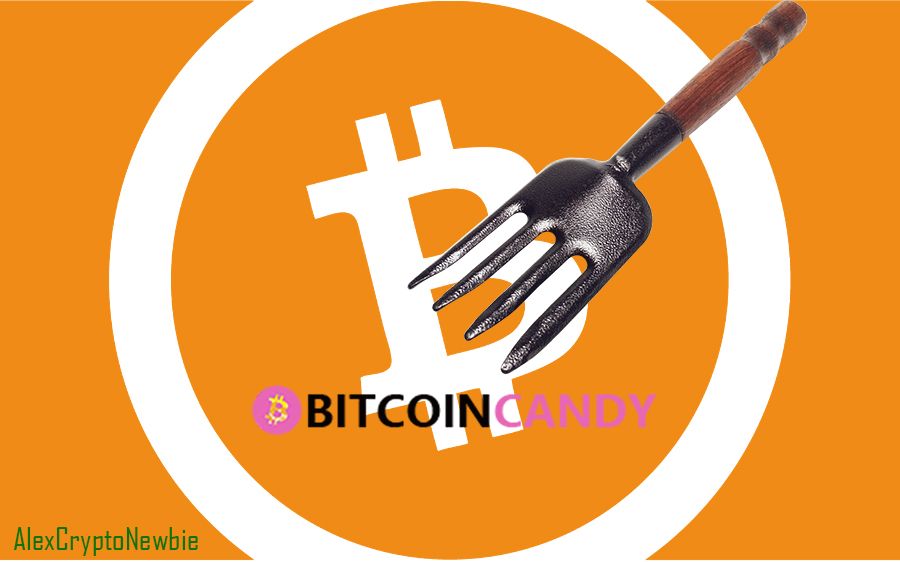 Bitcoin cash fork candy 28 million bitcoins seized motorcycles