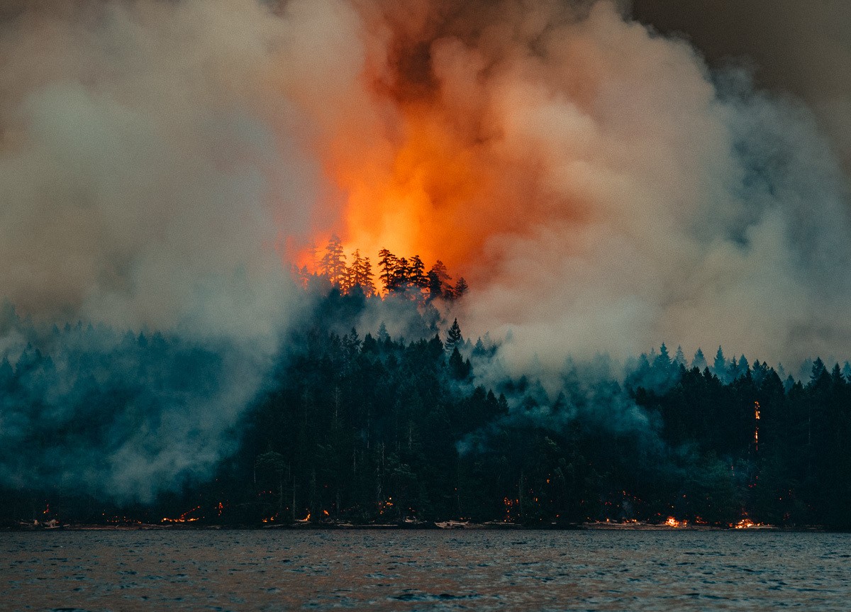 лесной-пожар-канада-страны-4568381.jpeg