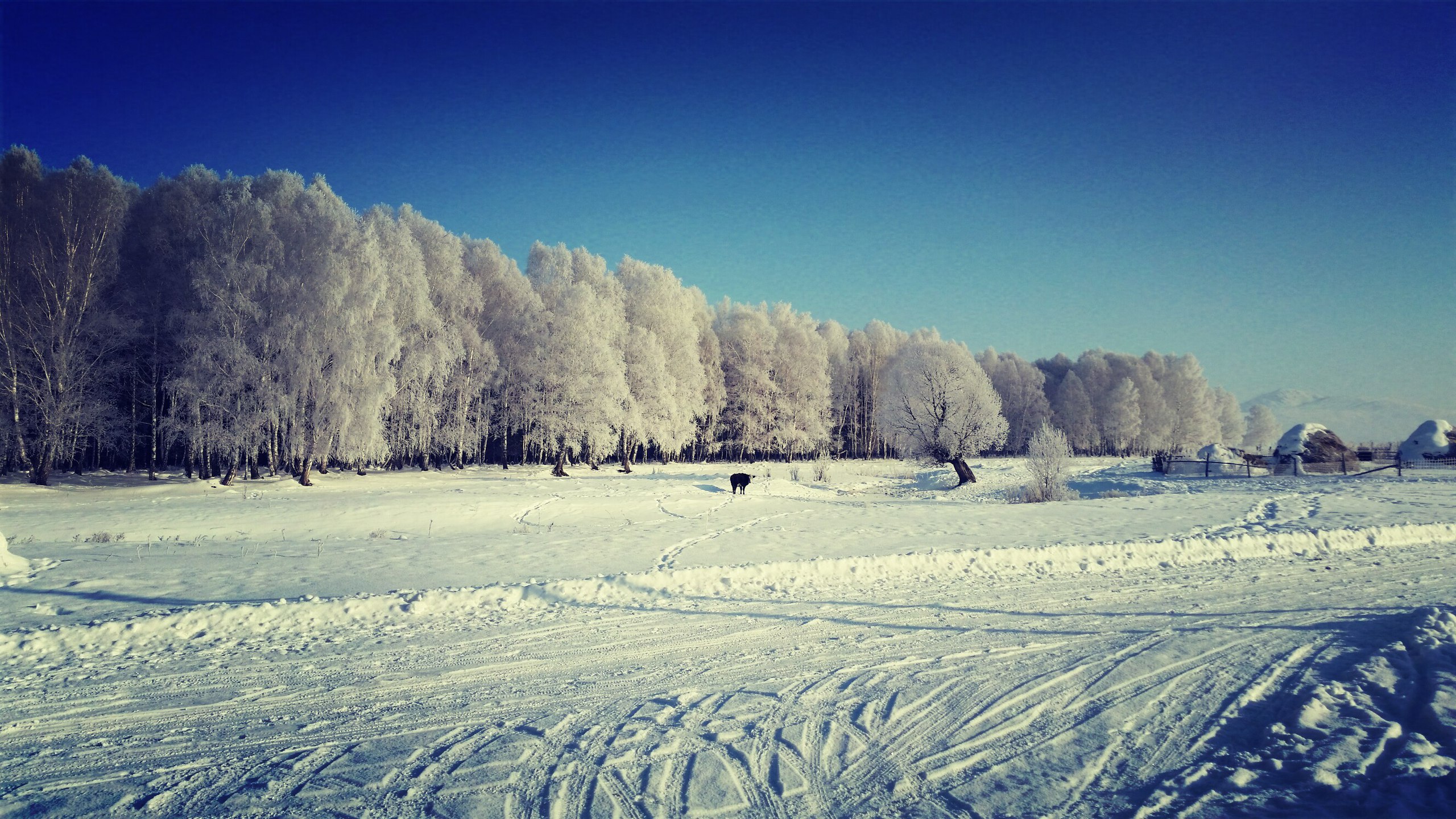 Зима в Казахстане