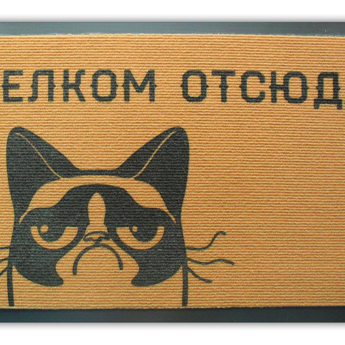 Придверный коврик уходите. Коврик придверный с надписью. Коврик прикол. Прикольные надписи на коврики. Коврик придверный с рисунком.