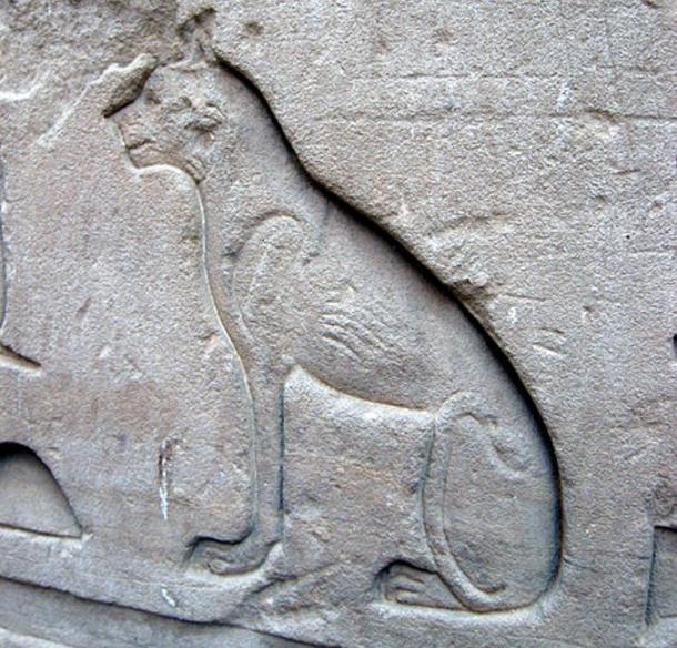 Ancient-Egyptian-relief-in-Edfu-Temple.jpg