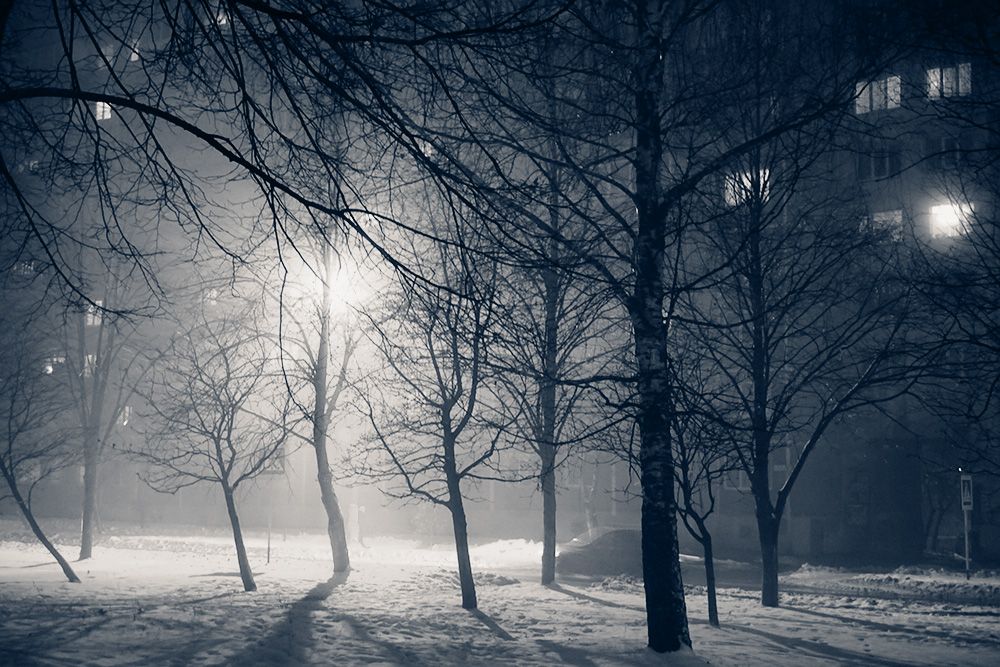 Свет фонаря сквозь деревья. Ближние чёткие, но чем дальше, тем больше деревья скрываются в тумане