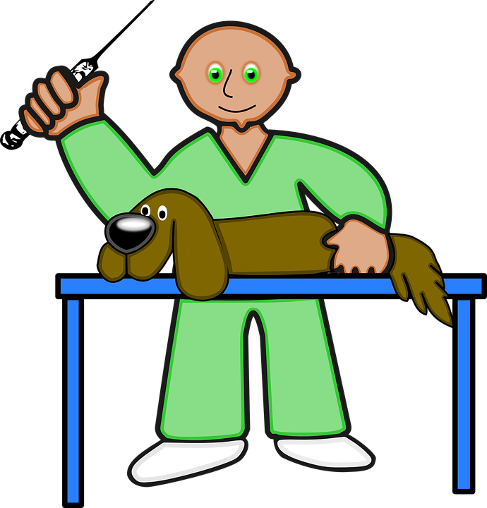 veterinary-178636_960_720.png