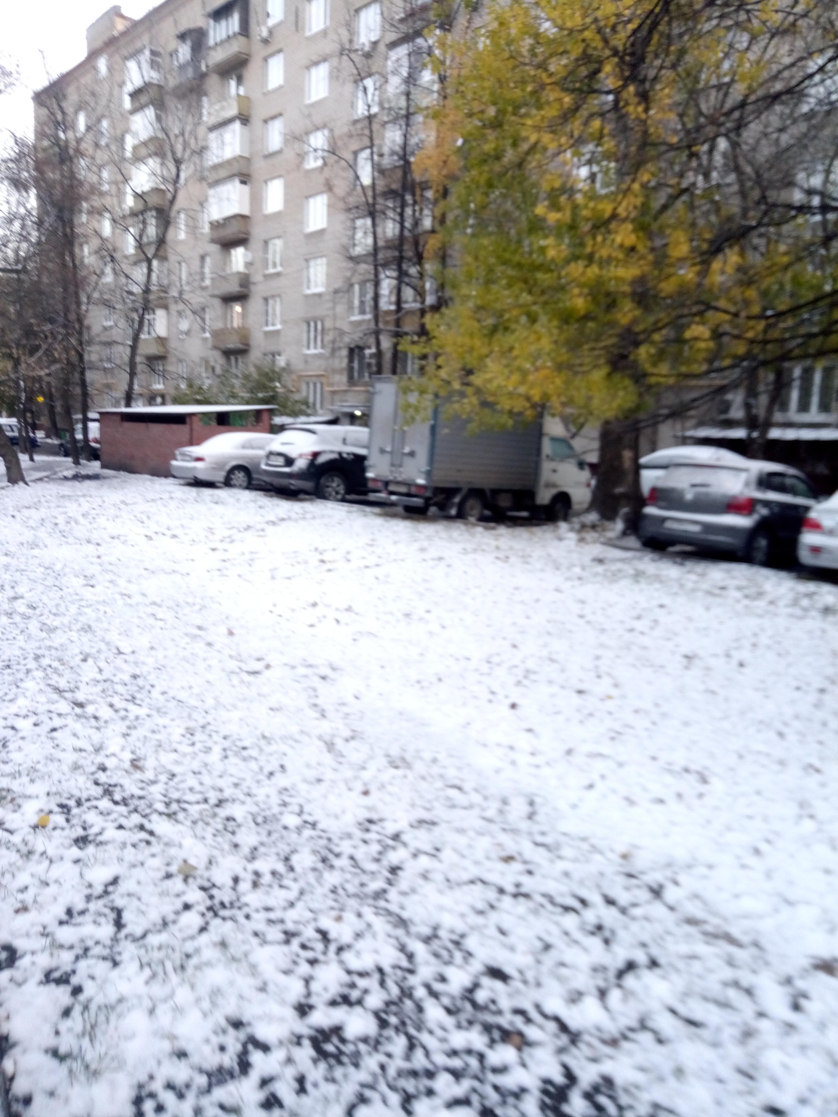 В москве выпал снег. В Москве выпал первый снег. Утром выпал первый снег. Первый снег в Днепропетровске.