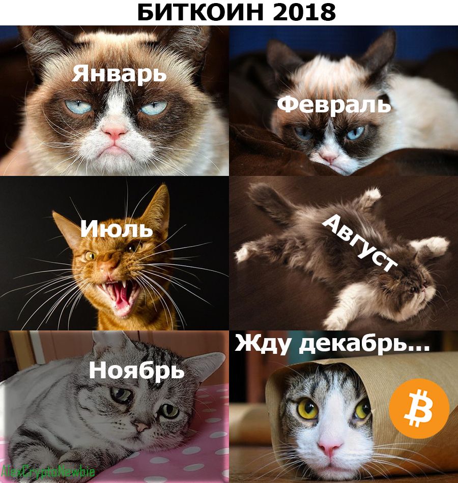 Биткоин 2018 от Bitcoin-котиков
