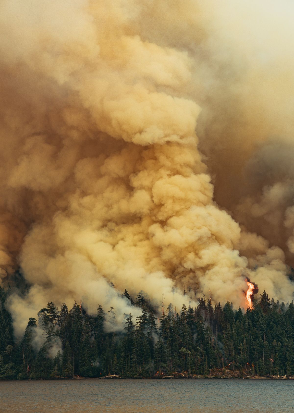 лесной-пожар-канада-страны-4568379.jpeg