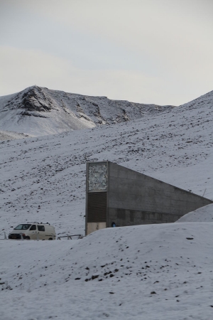 800px-Svalbard_seed_vault_IMG_8893.JPG