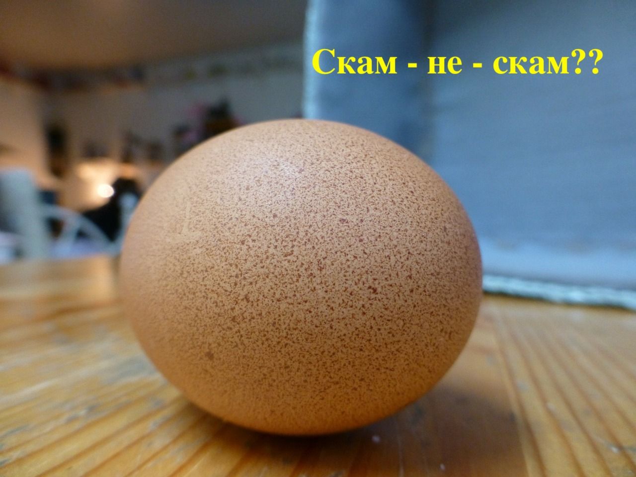 egg-123633_1280.jpg