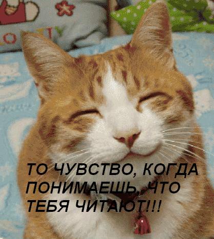 Empty-lolcat-21.jpg