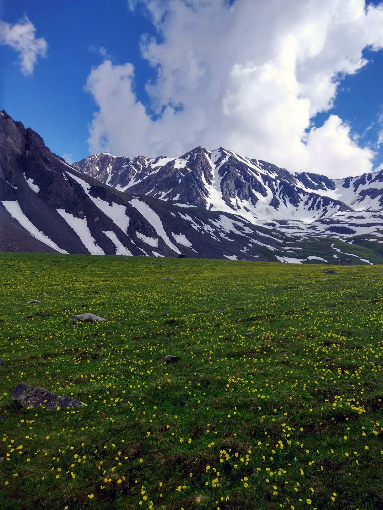 Восточный казахстан фото природы