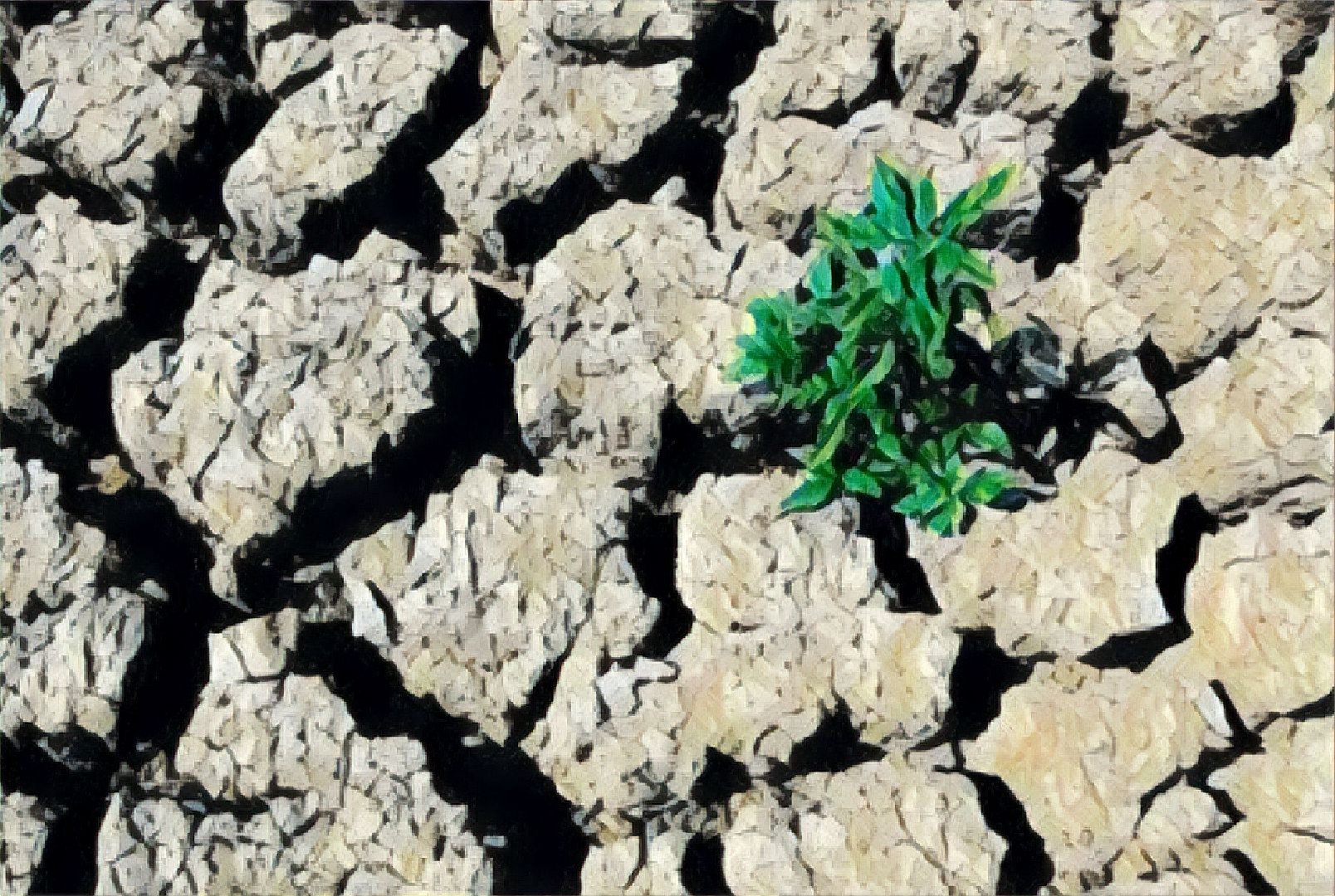 Уменьшения естественного плодородия почв. Снижение плодородия почв. Неплодородная почва. Почвенная засуха. Плохая почва.