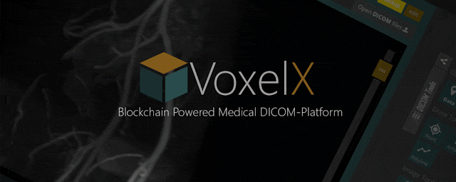 VoxelX.gif