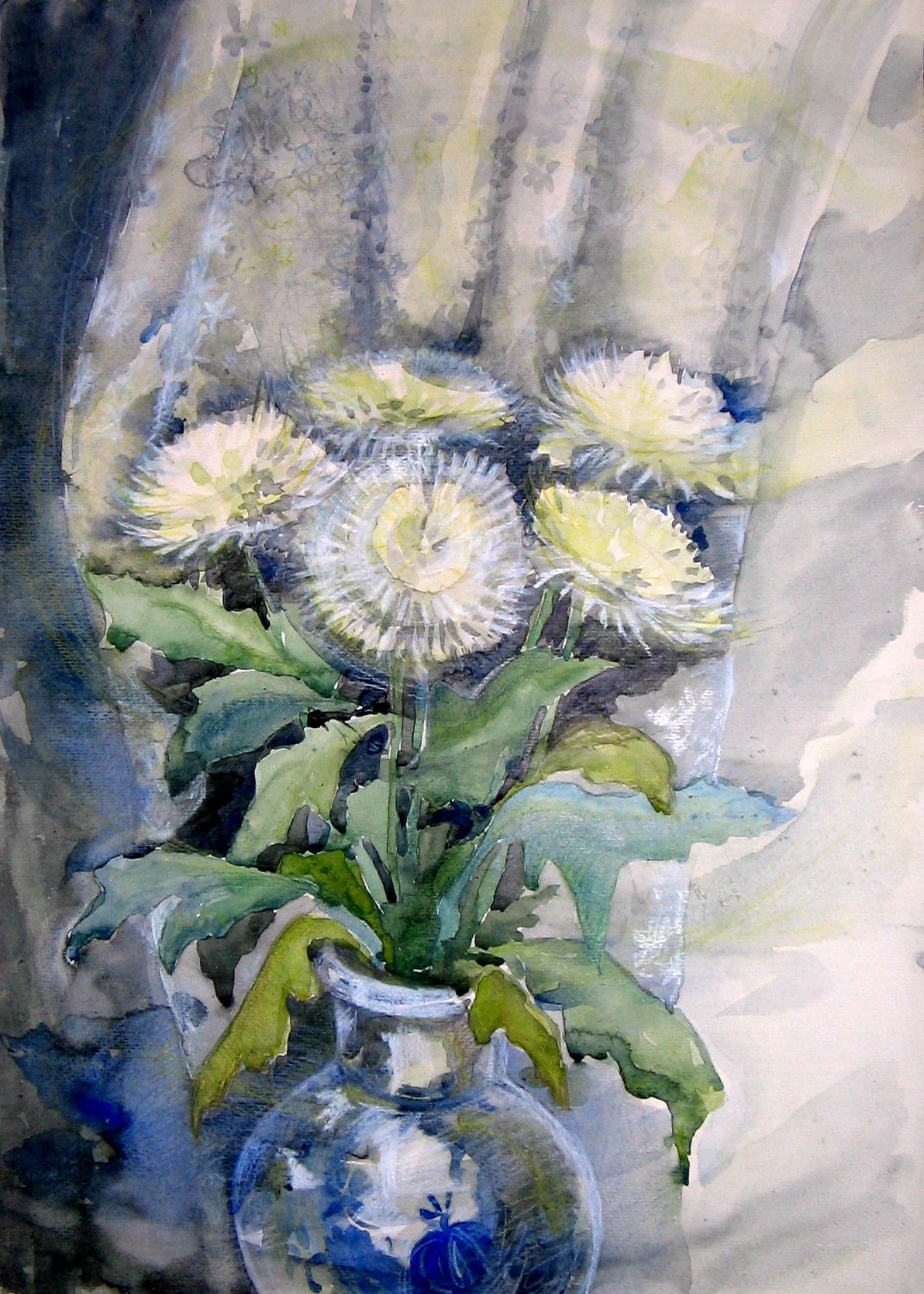 Белые хризантемы акварелью