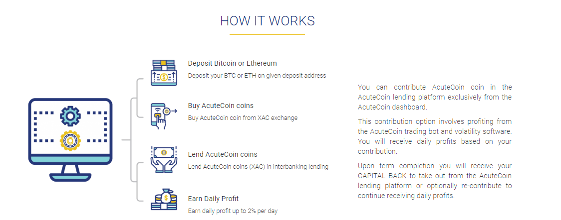 Image result for acutecoin bounty