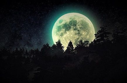 луна над лесом.jpg