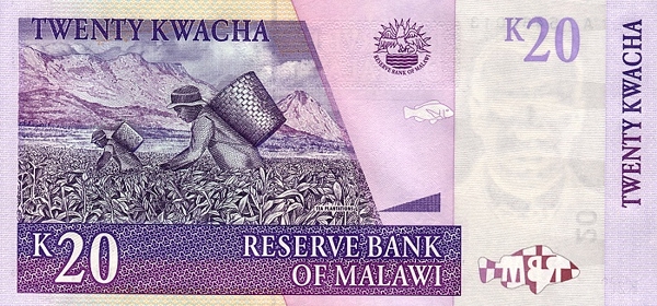 malaviiskaya-kvacha-20-2.jpg